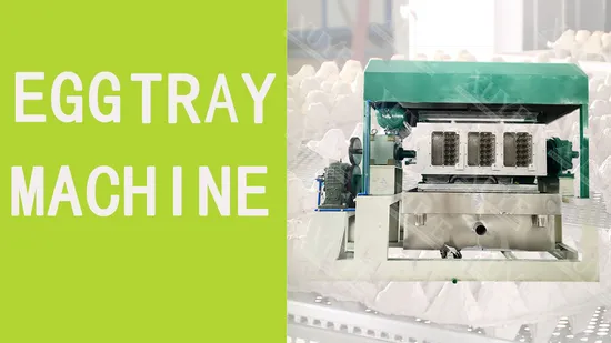 자동 계란 트레이 기계 펄프 성형 장비